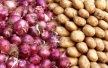 صادرات سیب‌زمینی و پیاز ممنوع شد